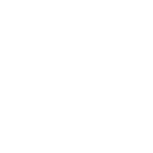 Fermentis