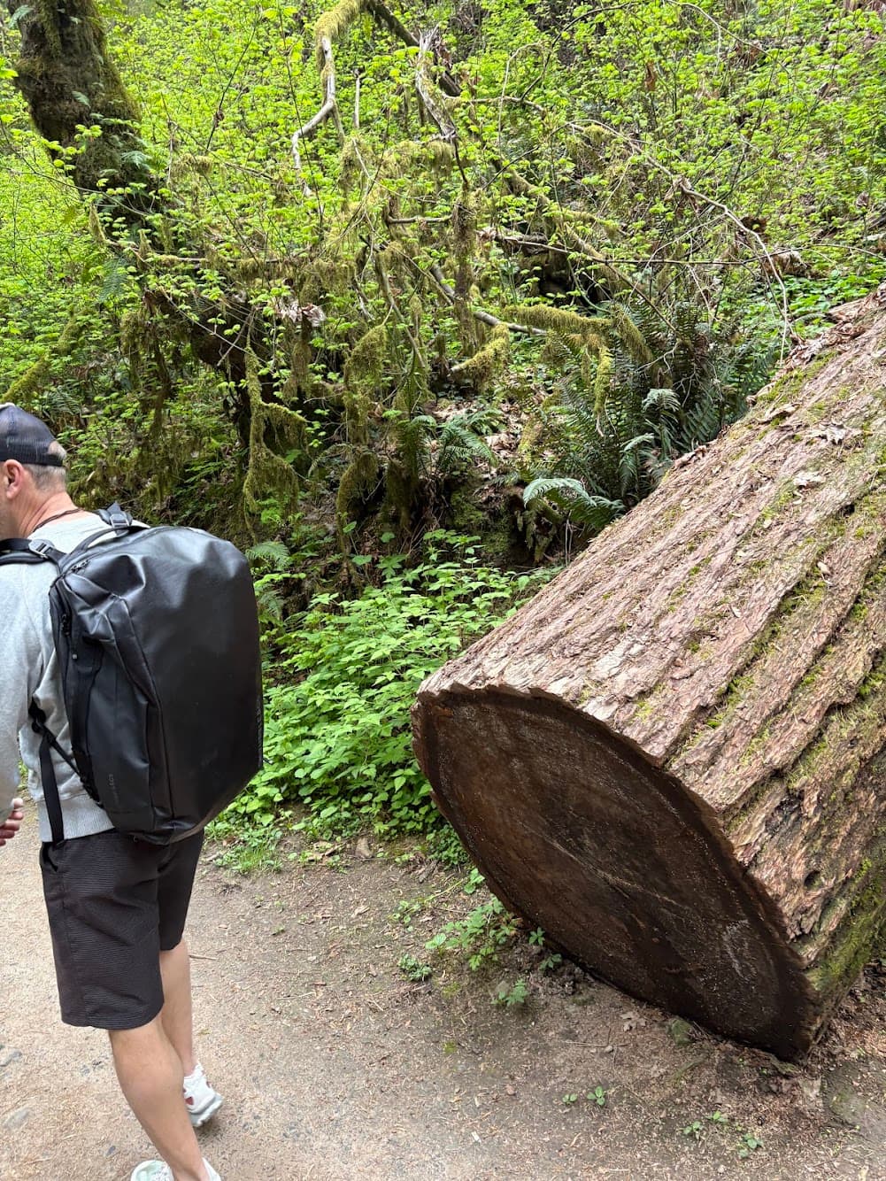 Foto von Tag 2 – Portland zwischen Wald und Brauereien