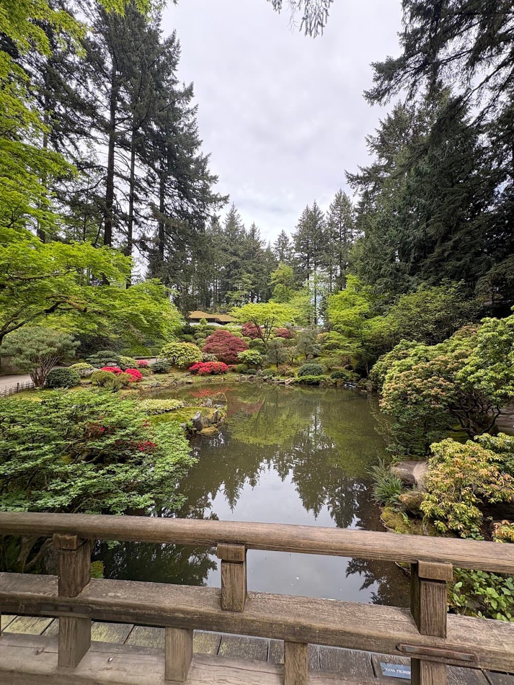 Foto von Tag 2 – Portland zwischen Wald und Brauereien