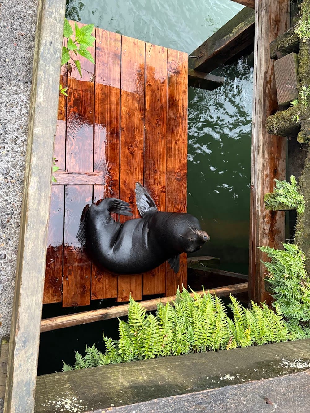 Foto von Tag 3 – Rüber nach Astoria