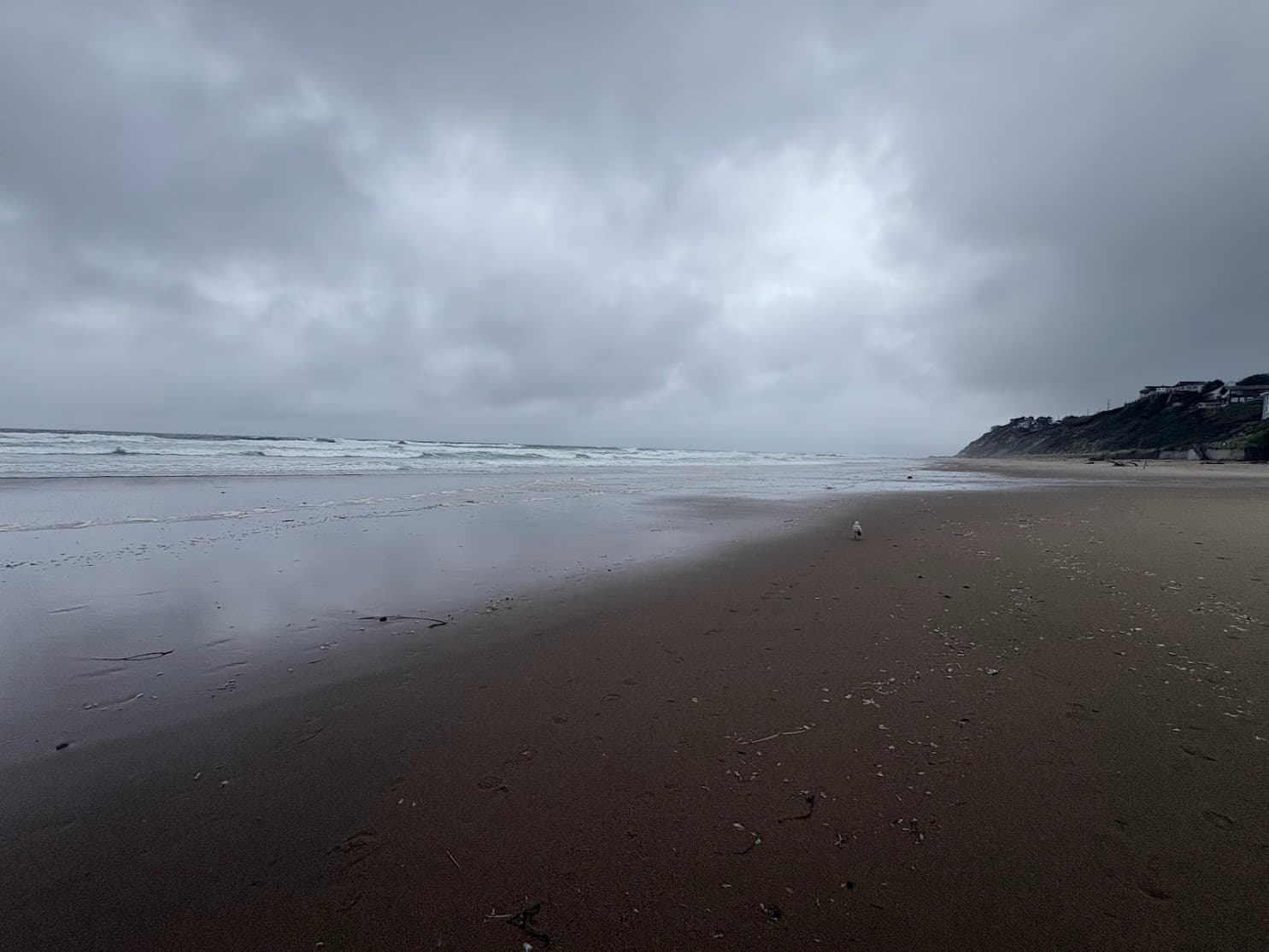 Foto von Tag 4 – Pazifikküste und zurück nach Portland