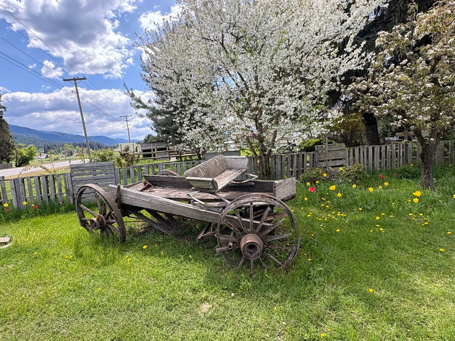 Foto von Tag 8 – Über den Mt. Hood nach Hood River